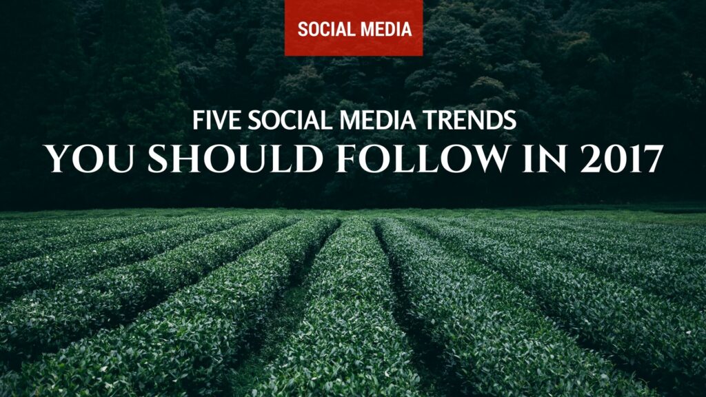 5 tendencias en redes sociales que deberías seguir en 2017 - UniK SEO