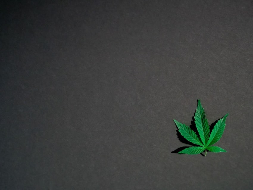 What is the Value of Cannabis SEO Keywords? - UniK SEO